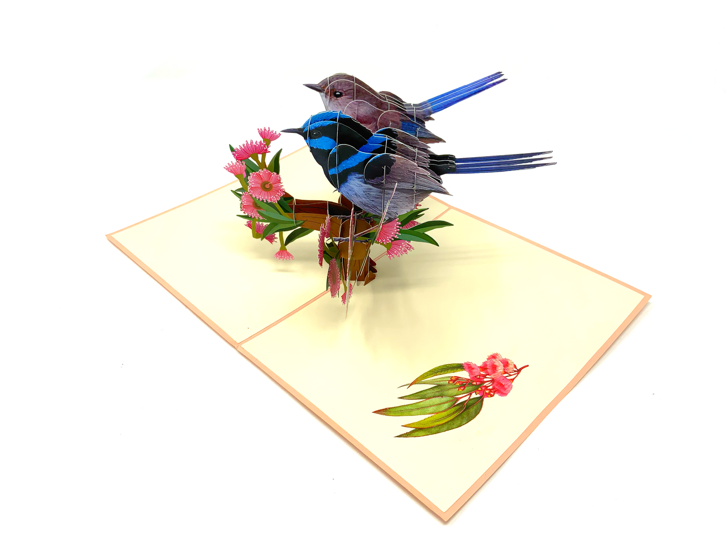 Wrens Pop Up Greeting Card