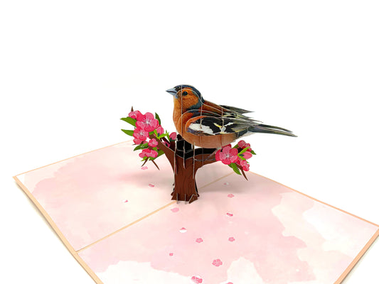 3D pop-up Chaffinch card: A beautifully crafted greeting card featuring a three-dimensional Chaffinch bird, showcasing intricate paper artistry and nature-inspired design.&quot;