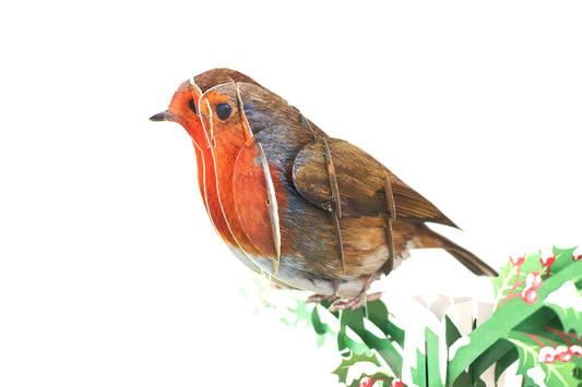 &quot;Pop-up robin card: A three-dimensional card featuring an intricately crafted pop-up scene with a charming robin, perfect for nature enthusiasts and various occasions.&quot;