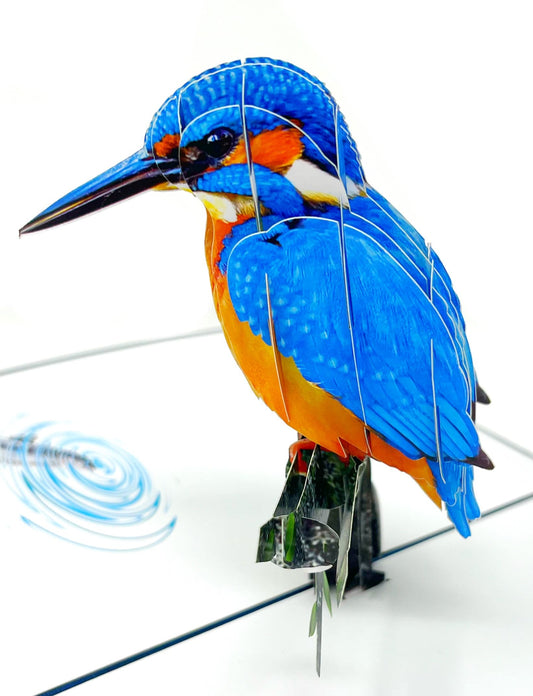 Pop Up Braille Kingfisher Happy Birthday Greeting Card, Make someone smile