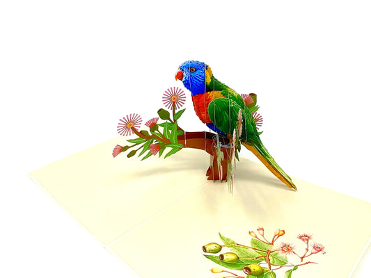 &quot;Rainbow Lorikeet pop-up card: A three-dimensional card with an intricately crafted pop-up scene featuring the vibrant and colorful Rainbow Lorikeet, perfect for nature enthusiasts and various occasions.&quot;