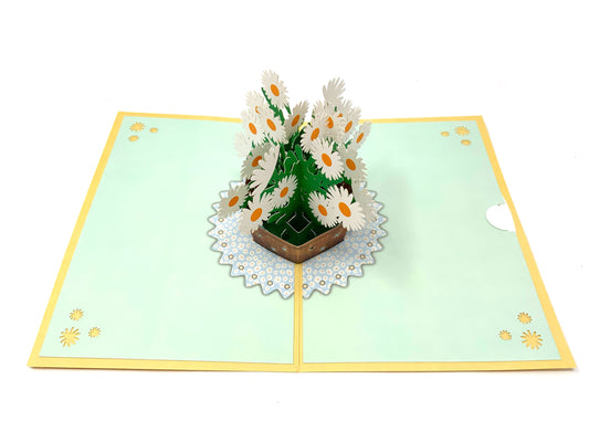 pop-up daisies greeting card: A beautifully crafted greeting card with a three-dimensional daisy design, radiating the charm and simplicity of nature.&quot;